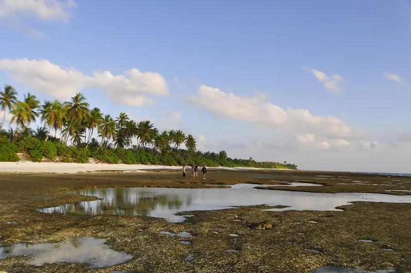 The sandy beach at Batu Ferringhi